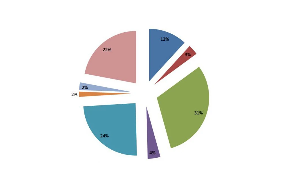 A colourful pie chart.
